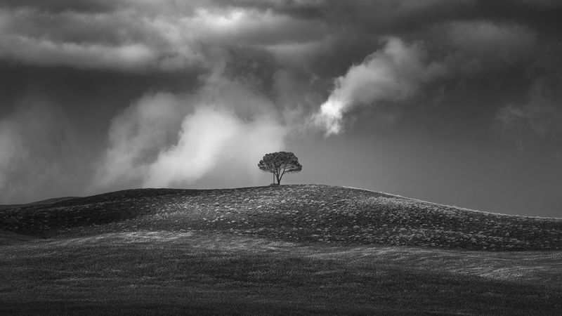 Embrace the Fearphoto preview