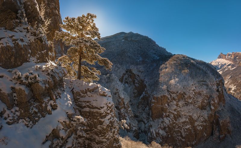 гора, кавказ, кавказские горы, черекская теснина, река черек балкарский, дорога, теснина, ущелье, иней, снег, зима, снежное, скалы, скалистое, в инеи, дерево, сосна, над обрывом, Сосна над ущельемphoto preview