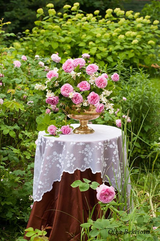 натюрморт, сад, цветы В садуphoto preview