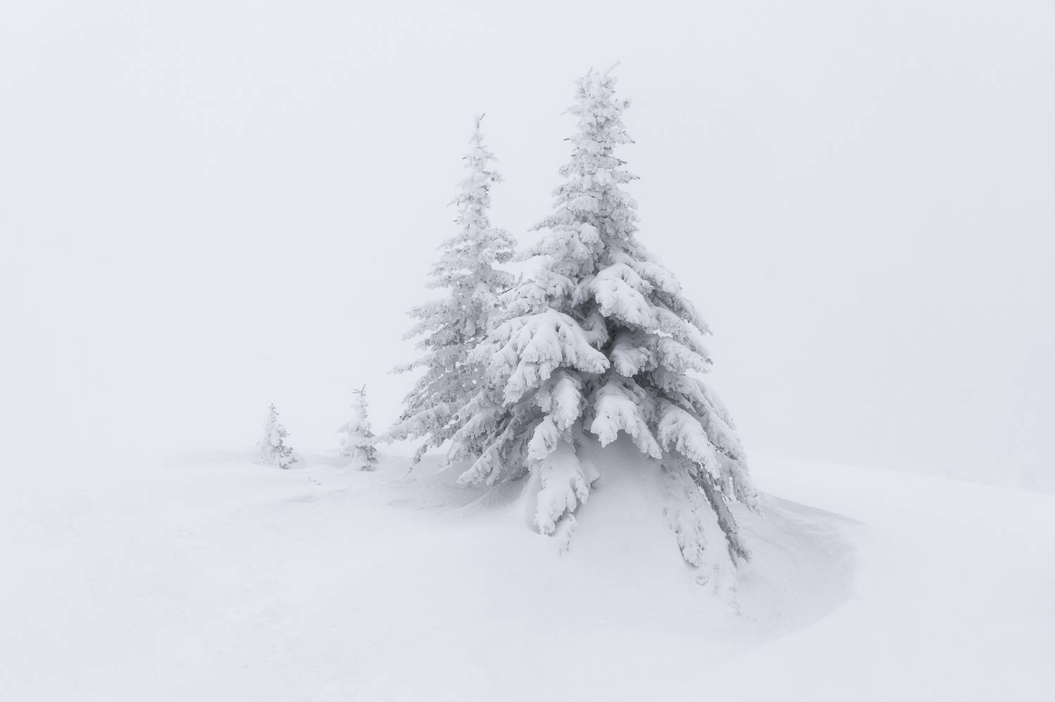 природа, пейзаж, таганай, зима, снег, минимализм, природа россии, челябинская область, Толстоноженко Илья