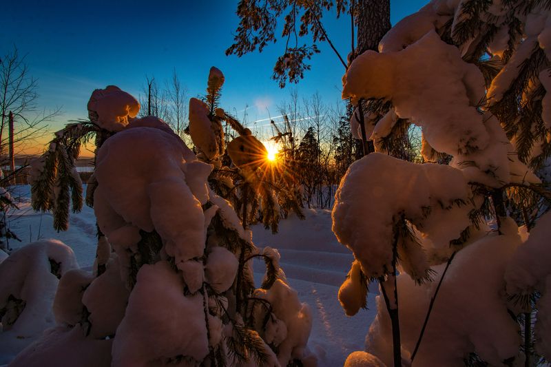 Утренний светphoto preview