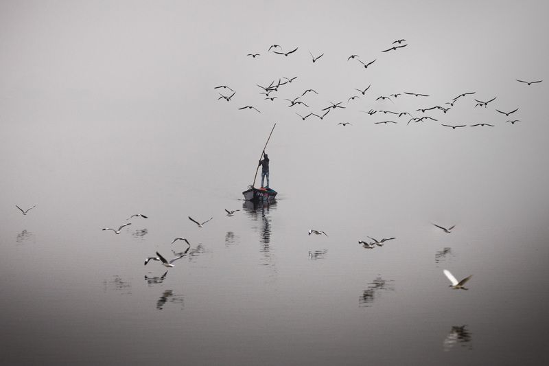 Fishing dreamsphoto preview