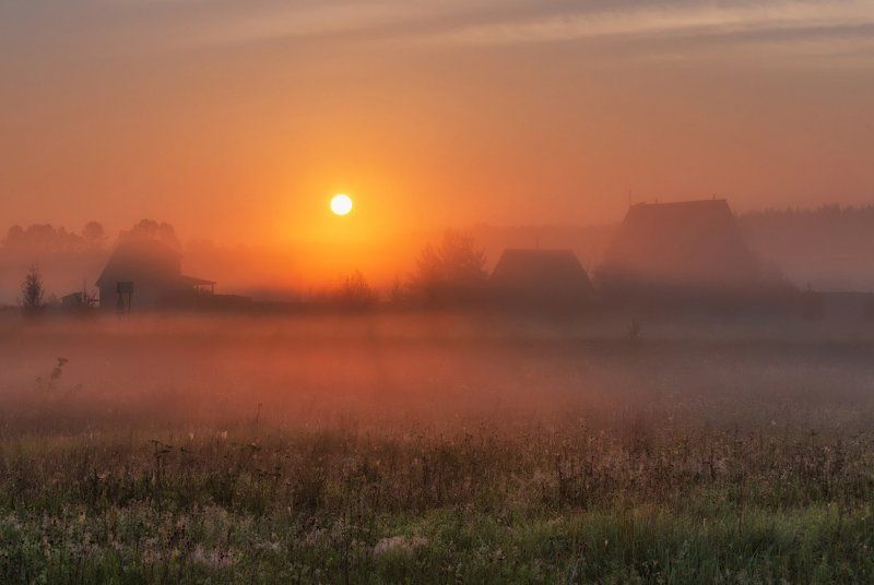 ярославская, область Дачные зарисовки. 2015.photo preview