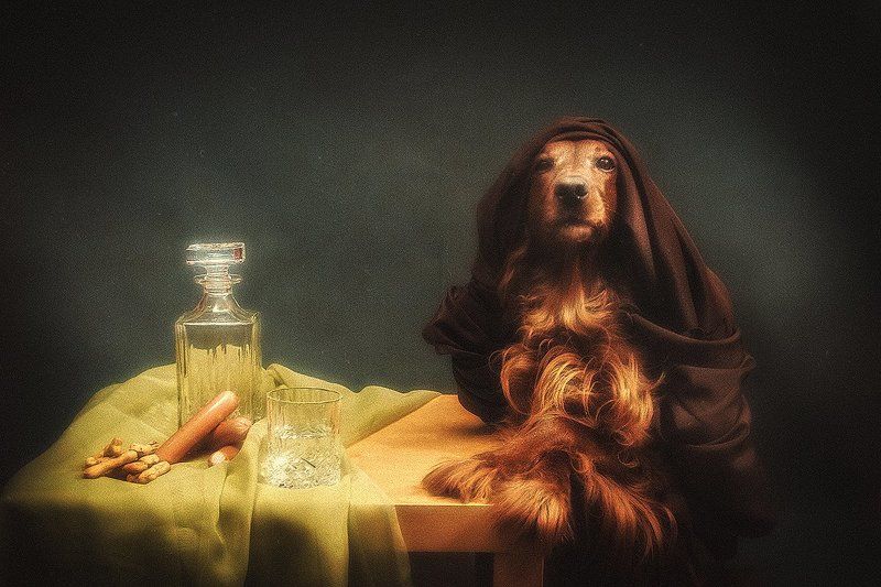 собака, сеттер, арт, портрет,  Домашний портретphoto preview