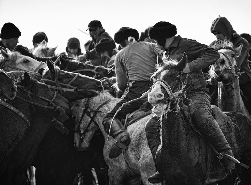 Кокпар.photo preview