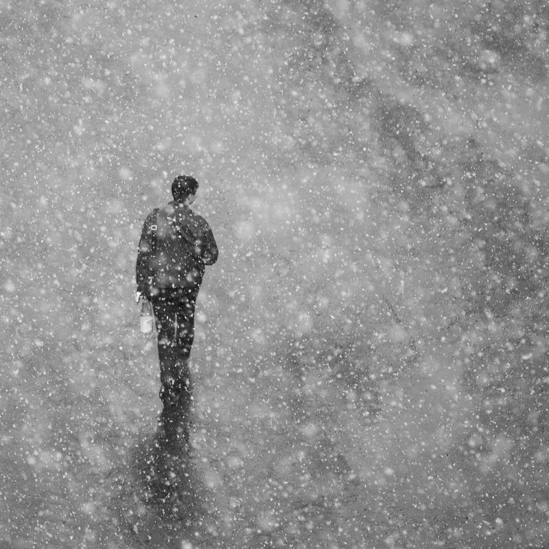 #dendzen Снег начнетсяphoto preview