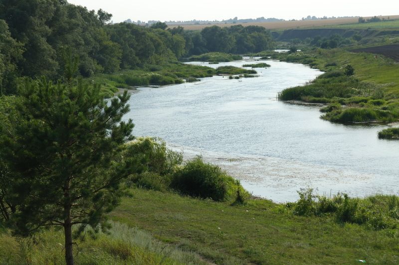 Роман, Russia