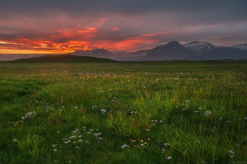 Hofn, Iceland, Вечер, Закат, Исландия, Лето Летний вечер в Исландииphoto preview
