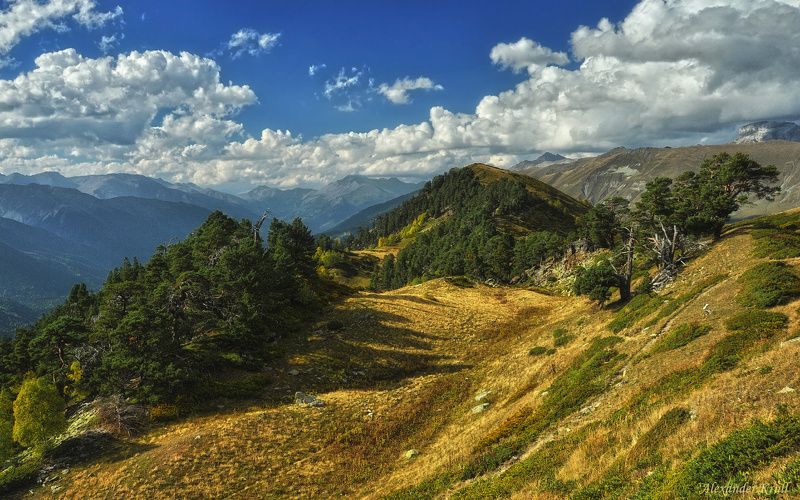 кавказ, кчр Альпийская ложбинка... фото превью