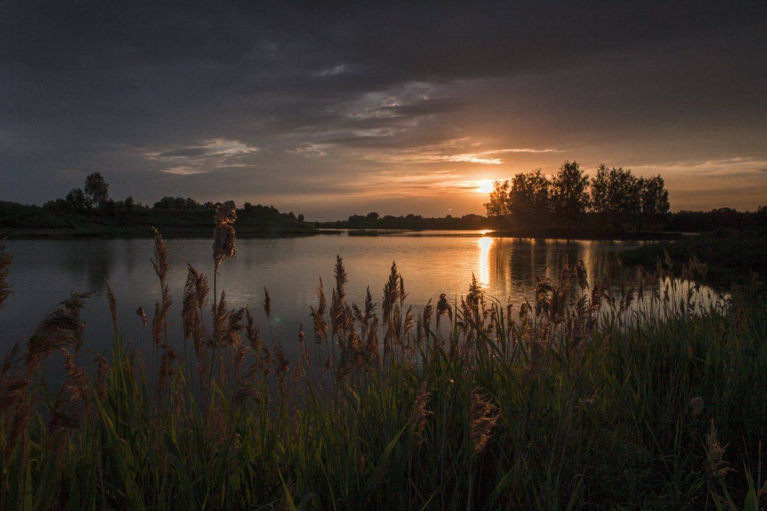 , Евгений Цветков