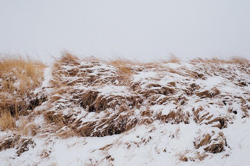 Зимние сныphoto preview