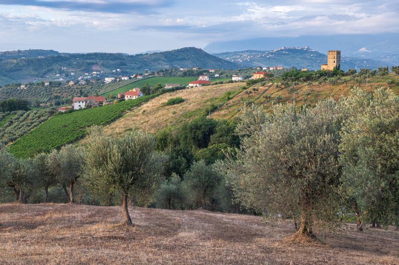 Утро где-то в Италииphoto preview