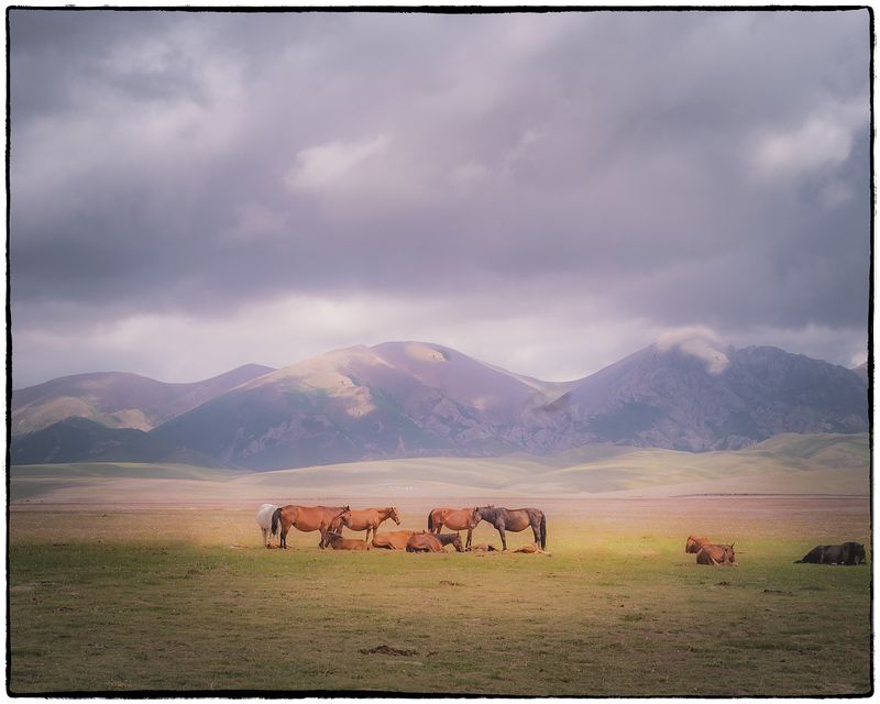 На рассветеphoto preview