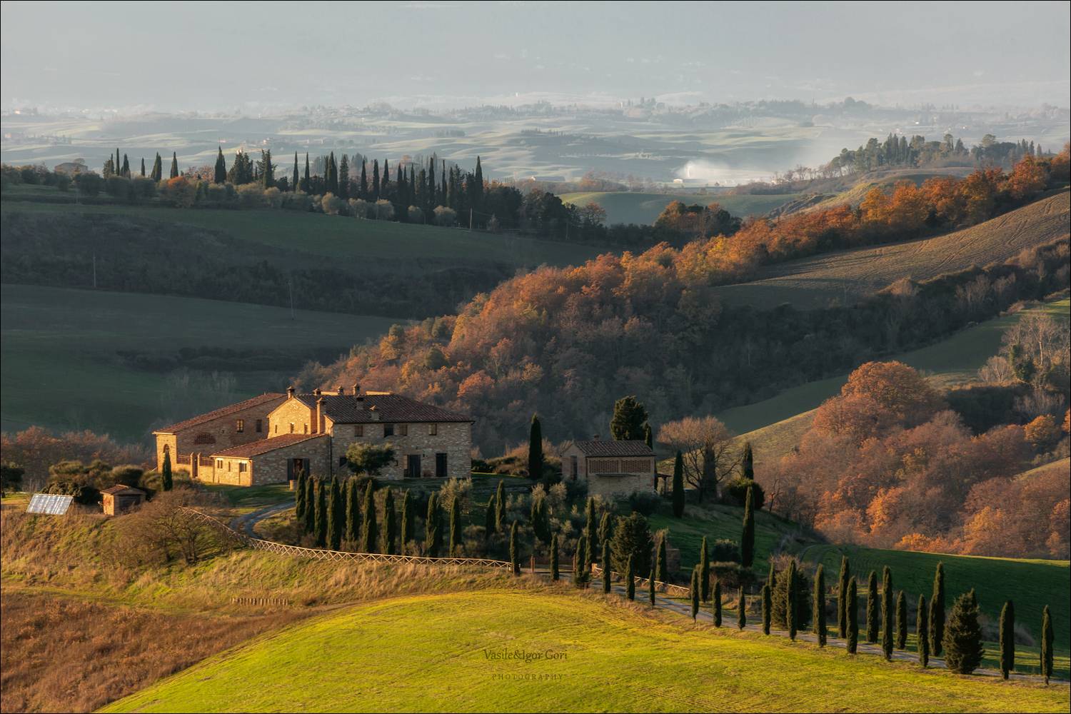 italy, crete senesi,italia,италия,тоскана,кипарис,toscana,осень,tuscany,cipressi,belvedere,asciano,тени,podere baccoleno,rural, Гори Василий