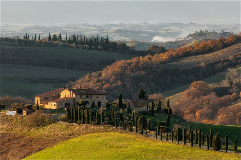 italy, crete senesi,italia,италия,тоскана,кипарис,toscana,осень,tuscany,cipressi,belvedere,asciano,тени,podere baccoleno,rural Podere Baccolenophoto preview