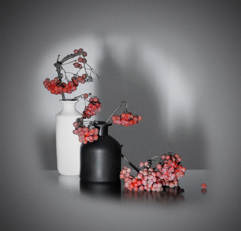 Рябина в инееphoto preview