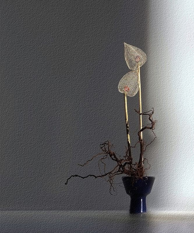 Асисяйphoto preview