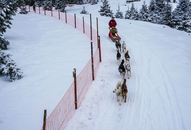 ...мы помчимся... фото превью