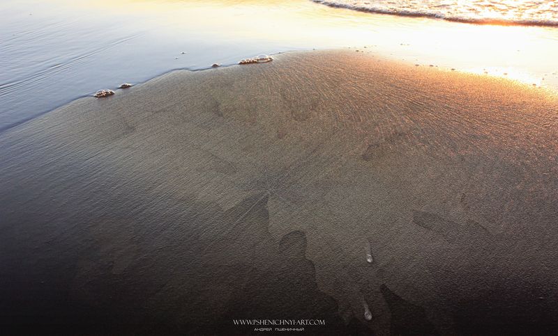 хрупкий, силуэт, кленовый лист, мираж, песок, берег, рисунок, концепция, волна, минимализм Тонкий силуэтphoto preview