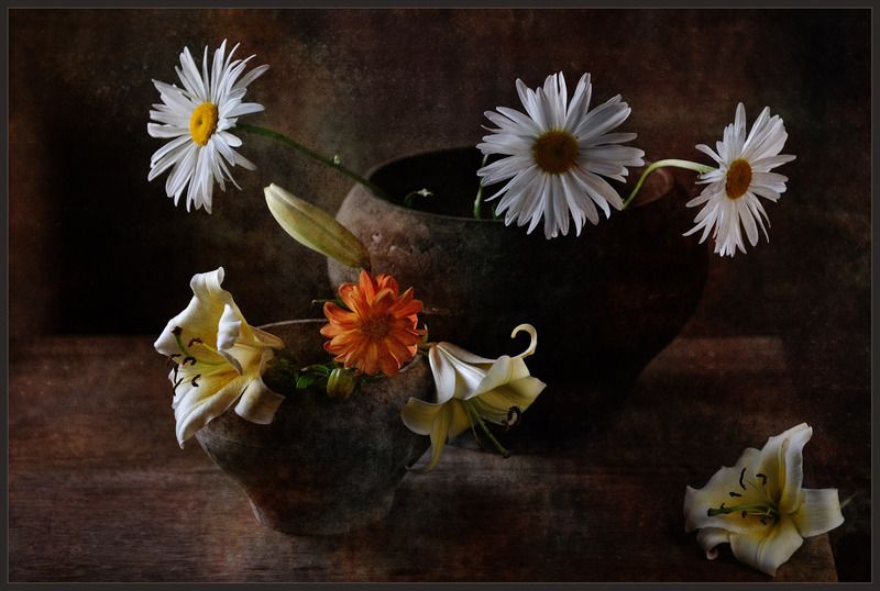 Дачная лирикаphoto preview