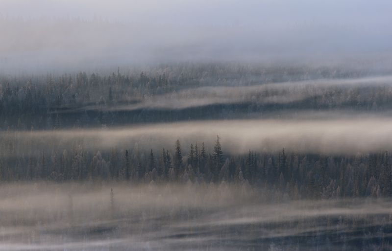 курай, алтай, сибирь, природа, туман, лес, горный алтай Дыхание Кураяphoto preview