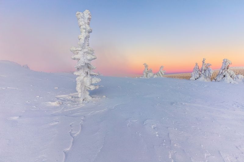 landscape Zamrzlý totemphoto preview