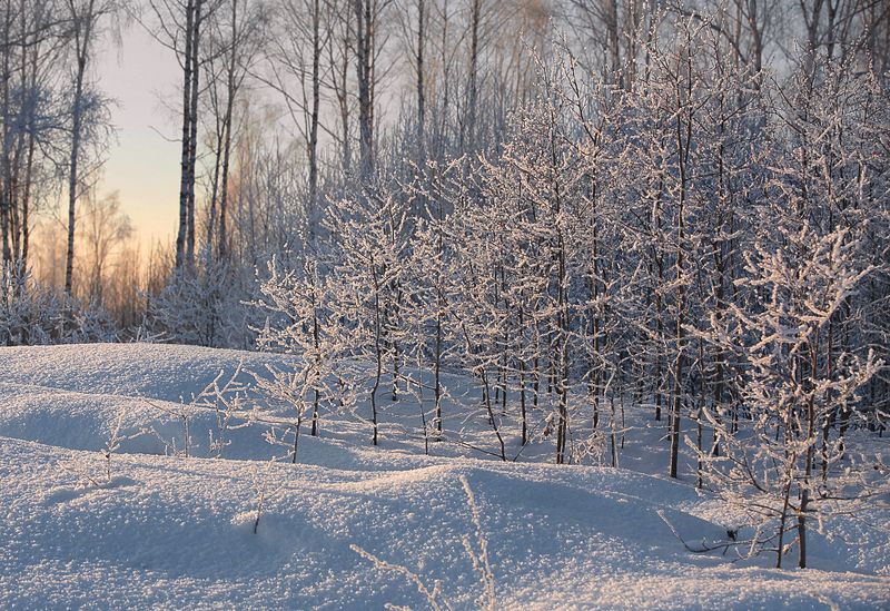 Морозное утроphoto preview