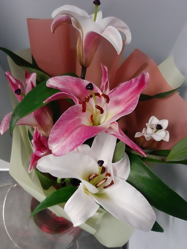 лилии Лилииphoto preview