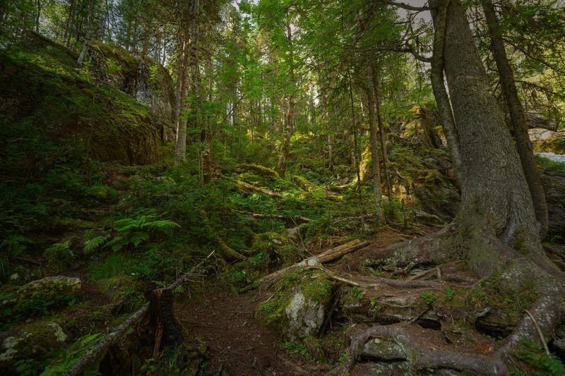 Жигалан, водопады В чаще лесаphoto preview