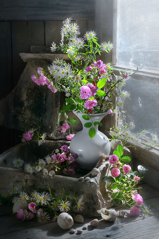 Still lifephoto preview