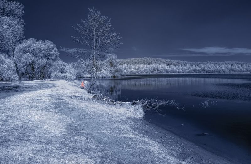 infrared,ик-фото,инфракрасное фото, инфракрасная фотография, пейзаж, весна В ожидании золотой рыбки фото превью