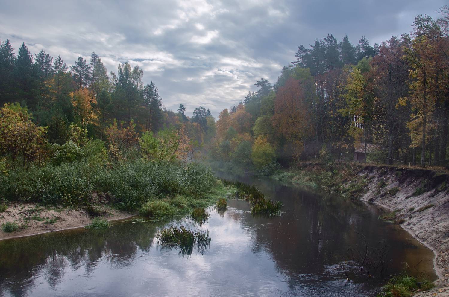 , Александр Березуцкий