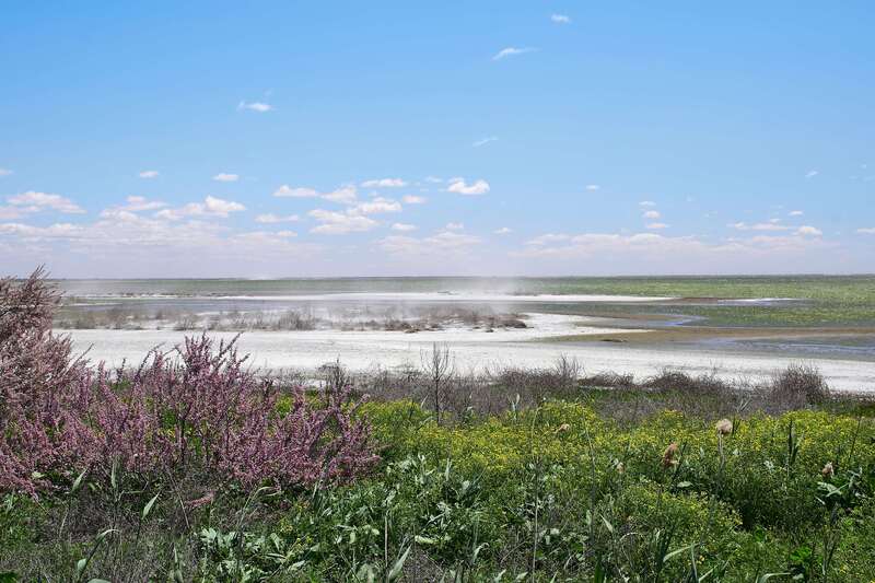 volgograd, russia, landscapes,  #photo preview