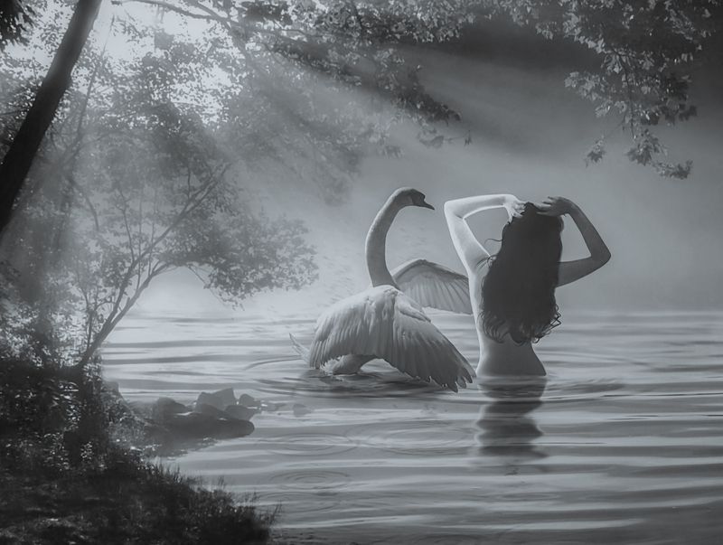 Ледаphoto preview