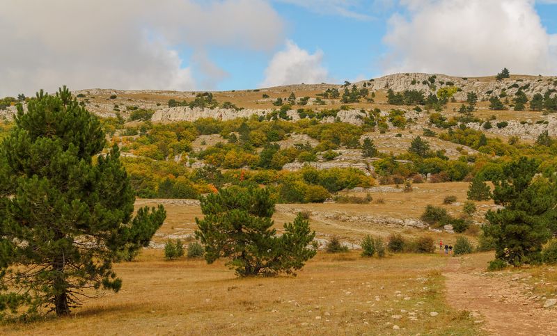 Осень на плато Ай-Петри.photo preview