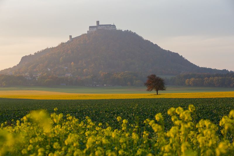 бездез, замок, замок бездез, чехия, ческа-липа, готика, пейзаж, bezdez, czech, castle, Замок Бездезphoto preview