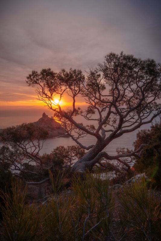 Рассвет в Крымуphoto preview