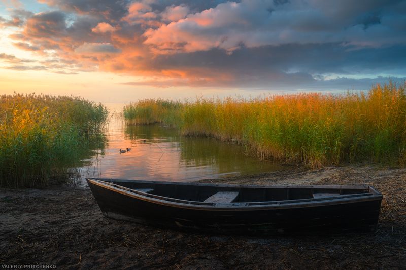 вечер, закат, тишина, осень, природа, пейзаж, calm, autumn, sunset, landscape, nature Вечернее спокойствие на берегу Куршского заливаphoto preview