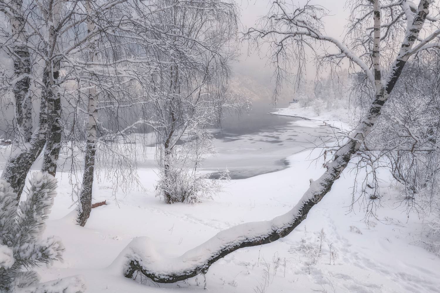 Зимняя нежность. Автор: Фомина Марина зима, мороз, снег, камни, куржак, река, Фомина Марина