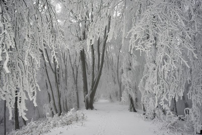 Февраль на Кизиловкеphoto preview