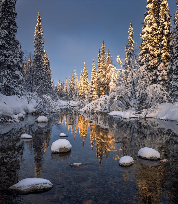зима, кольский, лес, солнце, река, камни Лес, освещённый солнцем. фото превью