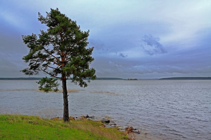 оз.Селигерphoto preview