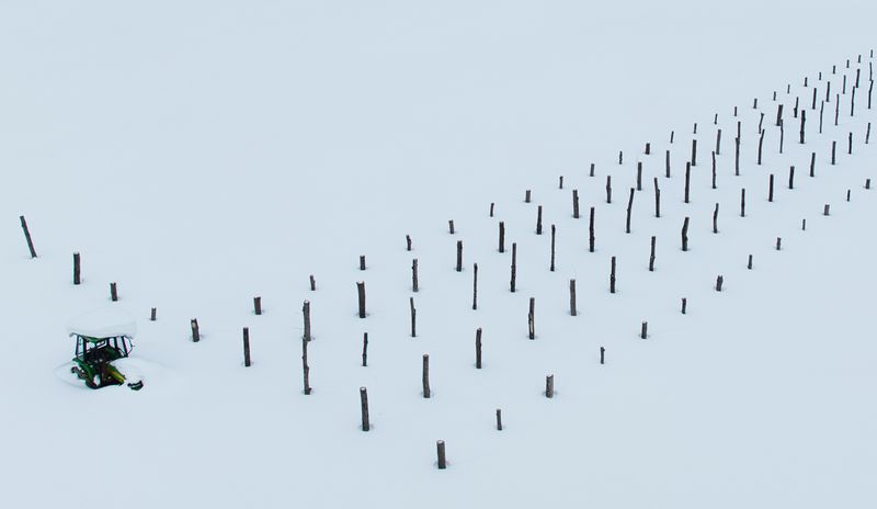 оттепель  фото превью