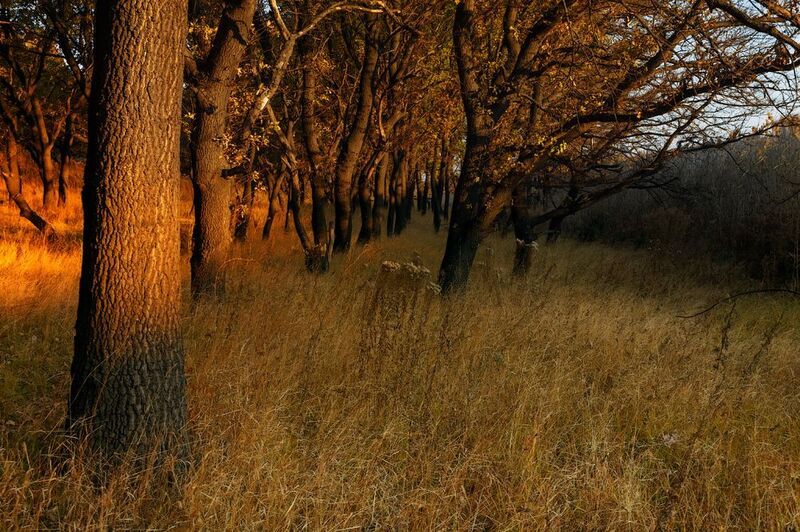 Осенняя пора.photo preview