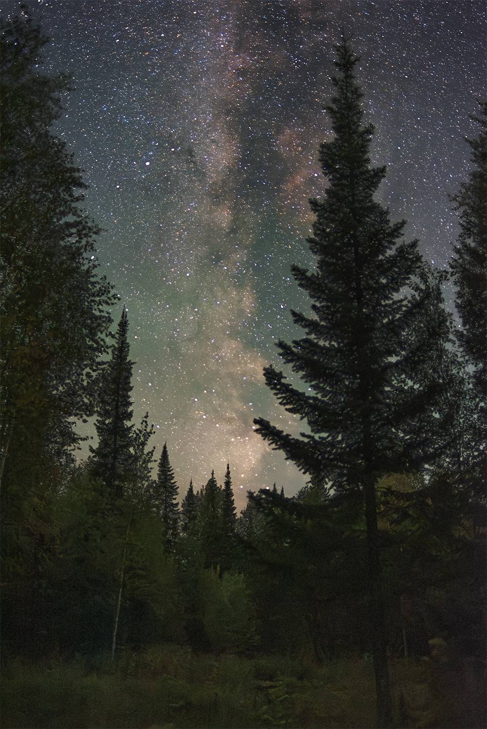астрофото, астрофотография, ночь, астрономия, астропейзаж, млечный путь, звезды, ночное небо, night, nightphotography, stars, milkyway, longexposure, Кудашкина Ксения