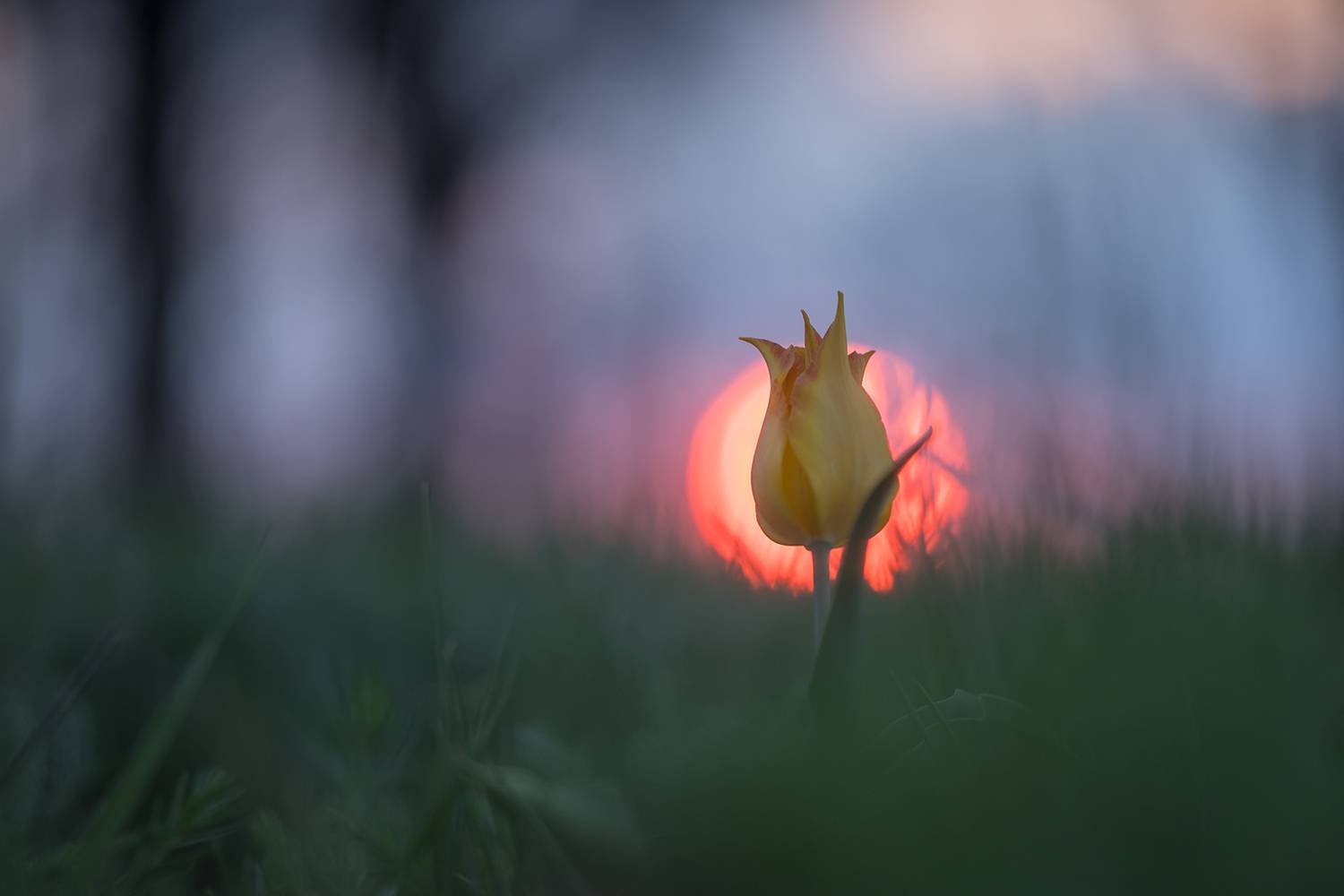 , Илья Михеев