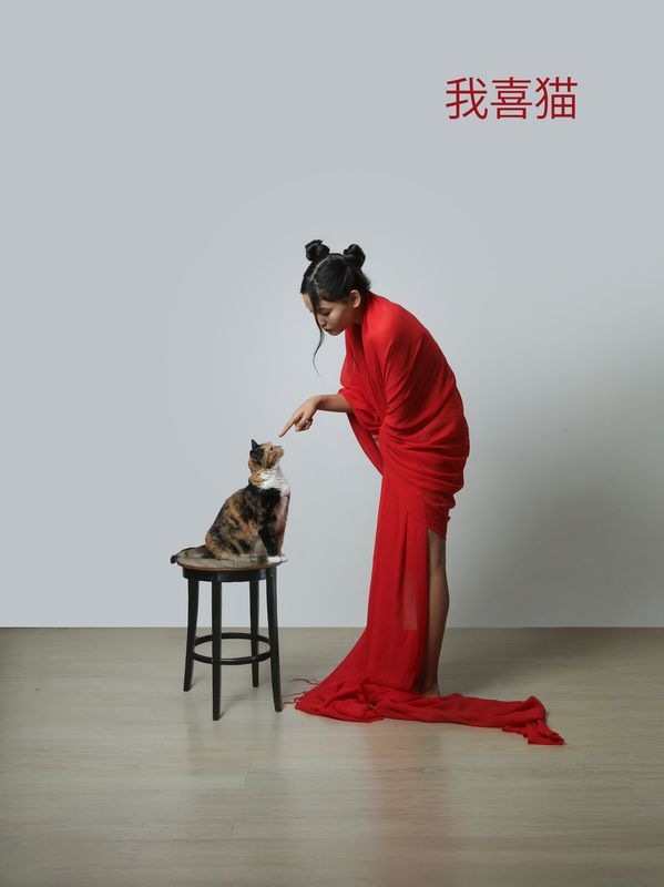 Любимицаphoto preview