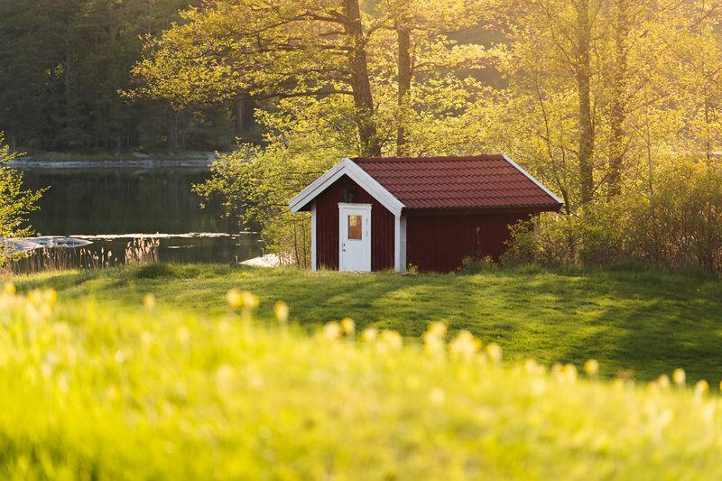 лето, дом, озеро, лес Тихий домикphoto preview