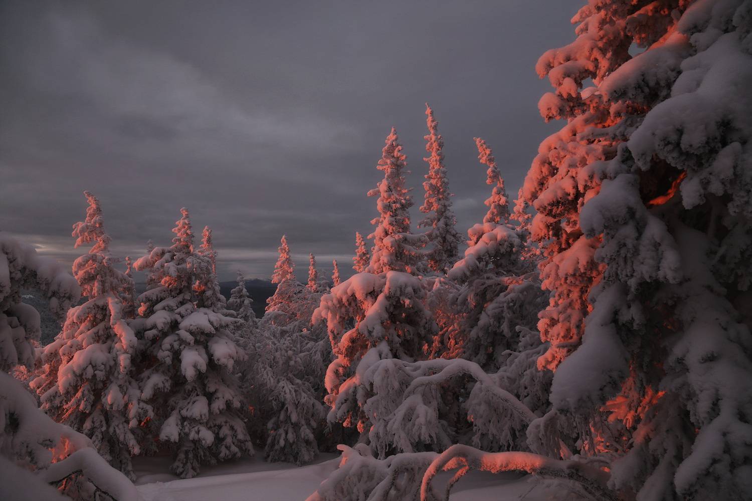 Уреньга, Южный Урал, Урал, Сергей Гарифуллин
