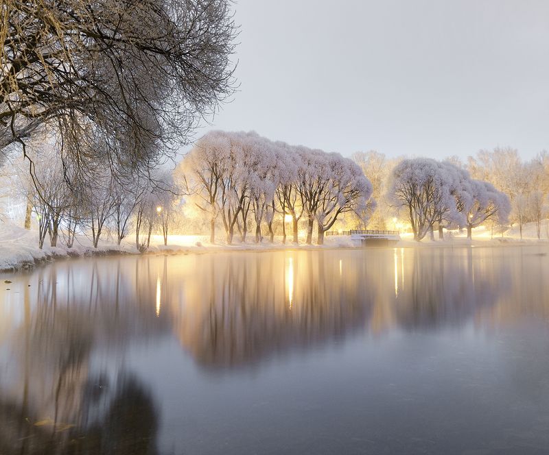 Белоснежная атмосфера в паркеphoto preview